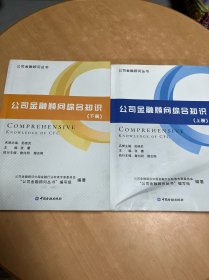 公司金融顾问丛书 ：公司金融顾问综合知识（上下册）