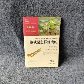 钢铁是怎样炼成的[苏]奥斯特洛夫斯基  著；闻钟  编