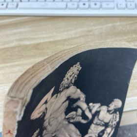 人体的解剖与构成