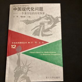 中美关系研究丛书（第12辑）中国现代化问题一个多方位的历史探索