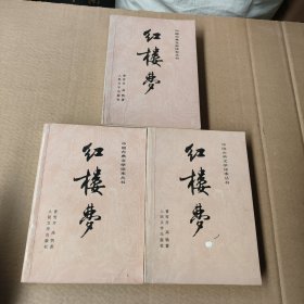 中国古典文学读本丛书：红楼梦（上中下）彩色插图本