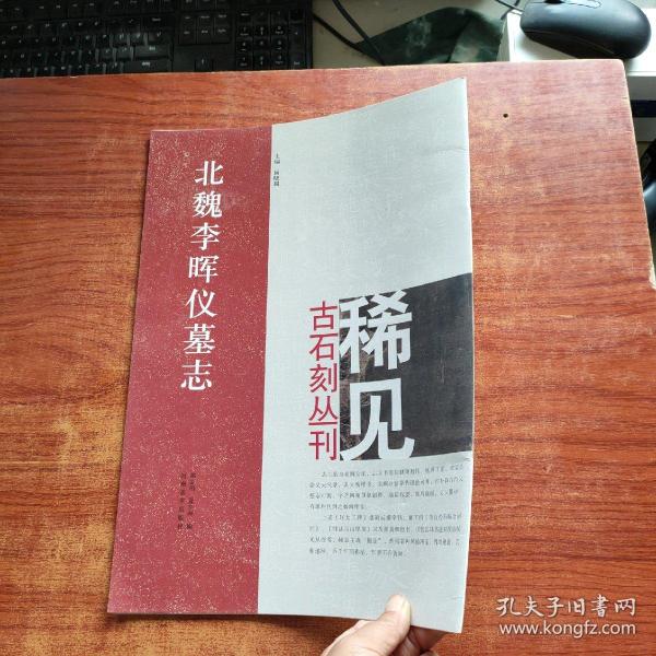 北魏李晖仪墓志/稀见古石刻丛刊