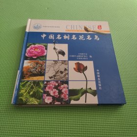 中国森林火灾典型案例