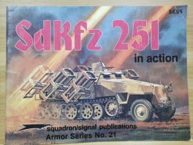 SdKfz 251 in Action