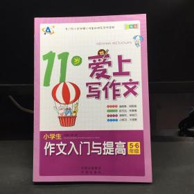 11岁爱上写作文：小学生作文入门与提高（5～6年级）