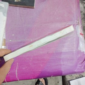 中国知青终结