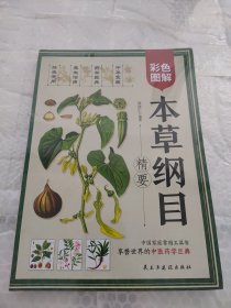 彩色图解本草纲目