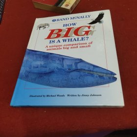 how big is a whale