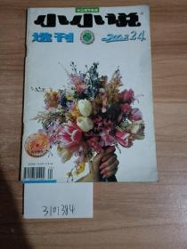 小小说选刊2002年第24期