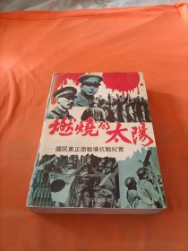 燃烧的太阳：国民党正面战场抗战纪实