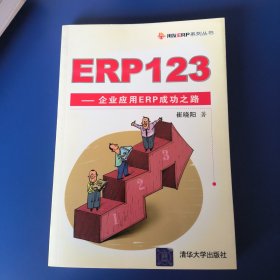 ERP123：企业应用ERP成功之路