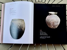 载瞻载止:新疆考古百年