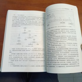 典型废旧稀土材料循环利用技术/固体废物循环利用技术丛书