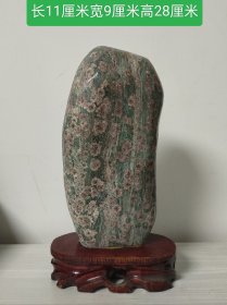 滦河天然菊花石摆件11471
