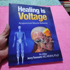 Healing is Voltage: Acupuncture Muscle Batterie