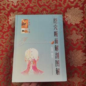 经穴断面解剖图解.头颈、胸部