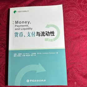 中国支付结算丛书：货币、支付和流动性