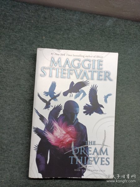 Raven Boys 2: The Dream Thieves