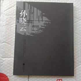 江苏省美术馆艺术创作与研究系列(孙小云)卷