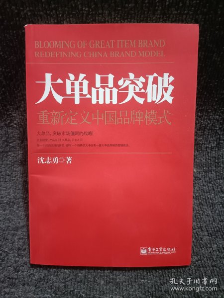 大单品突破——重新定义中国品牌模式