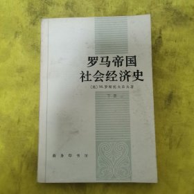 罗马帝国社会经济史(下册)