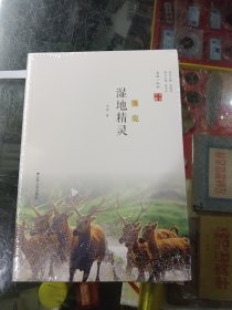 湿地精灵：麋鹿