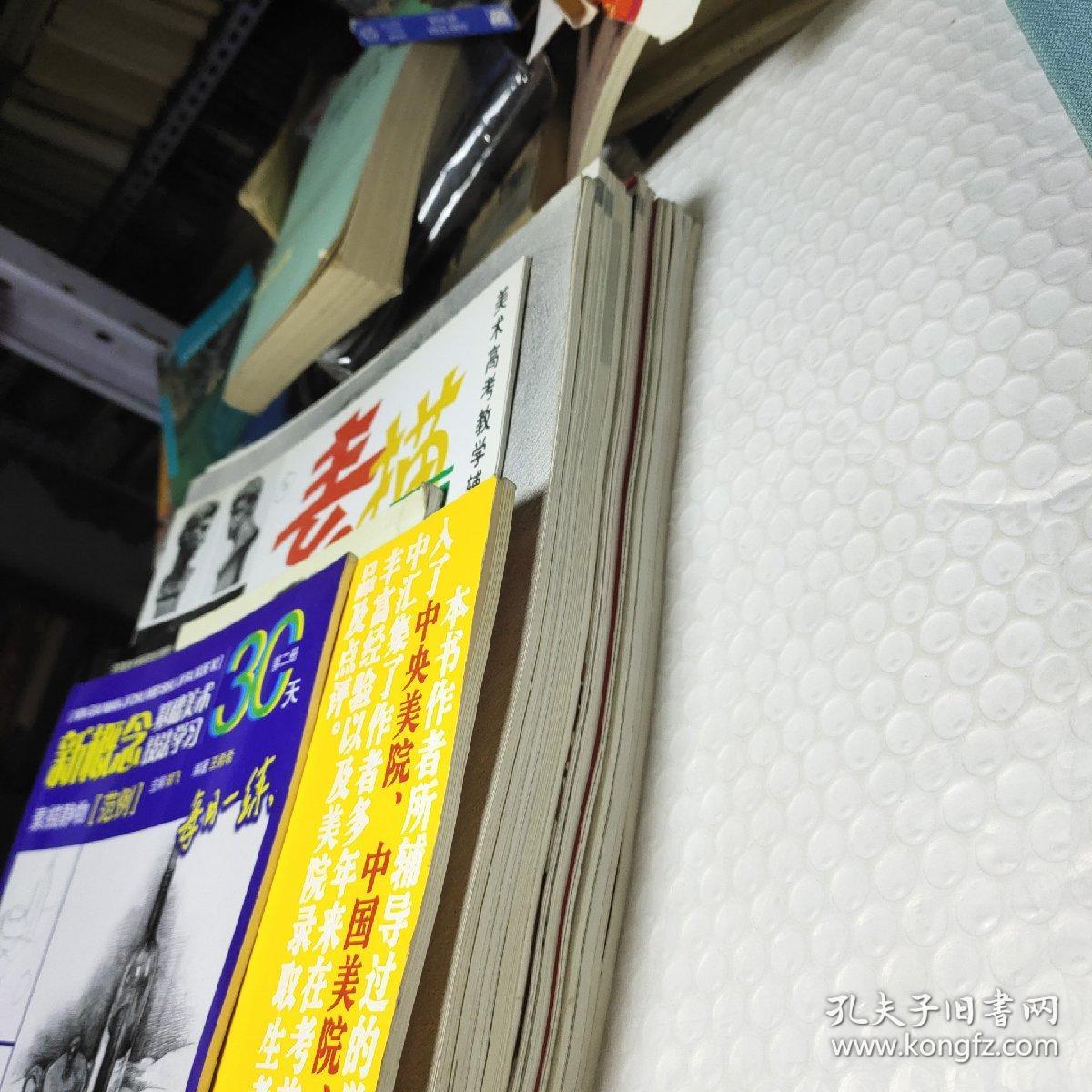 美术高考应试范画参考：水粉静物、敲门砖系列美术丛书：素描静物、素描头像、素描石膏像、高考秘籍几何形体、速写、石膏像结构明暗训练、色彩静物调色训练、毕风塘色彩静物、素描肖像、图解素描静物、图解素描头像、美术教学训练 素描石膏像、素描高考石膏像、素描头像表现技法、高分色彩要点精解、素描静物范例 17本合售