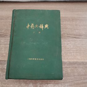 中药大辞典（上册）