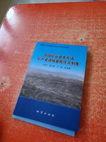 中国矿业资本市场矿产资源储量胜任人制度