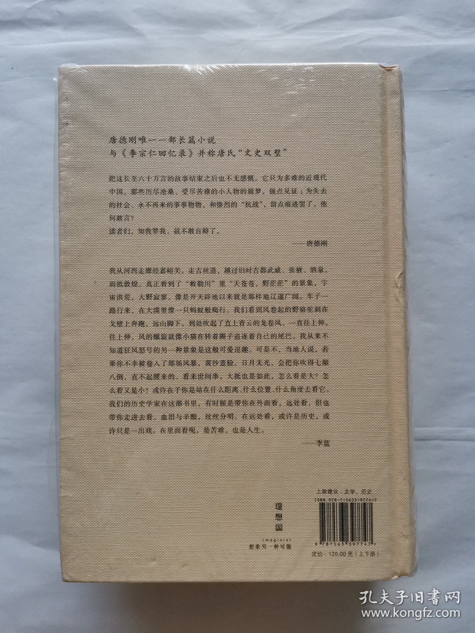 唐德刚作品集之九：战争与爱情（上下）