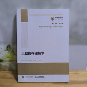 国之重器出版工程 大数据存储技术