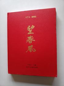 荣宝斋艺术品：望春风(吴悦石王镛迎春书法展作品集)