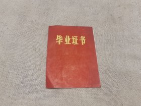 81年小学毕业证书