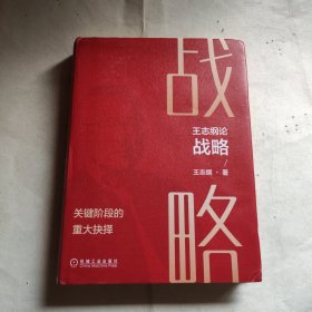 王志纲论战略:关键阶段的重大抉择
