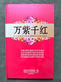 DVD 万紫千红-纪念福建省文联成立60周年电视专题片 全景式显示福建文艺60年流变 见证共和国风云变幻历史进程 讴歌海西经济区建设宏伟诗篇 欢庆福建省文联甲子周年华诞