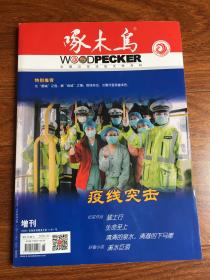 啄木鸟2020年 增刊