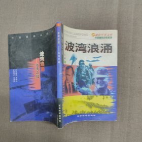 波湾浪涌:海湾之战