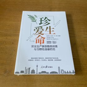 珍爱生命：安全生产事故隐患排查与习惯性违章防范【全新未开封实物拍照现货正版】