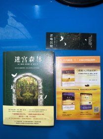 迷宫森林（跟《神奇动物在哪里》《爱丽丝梦游仙境》一样风靡欧美的奇幻力作！你以为自己隐藏得很好，但内心的恐惧会让你无处遁形。）