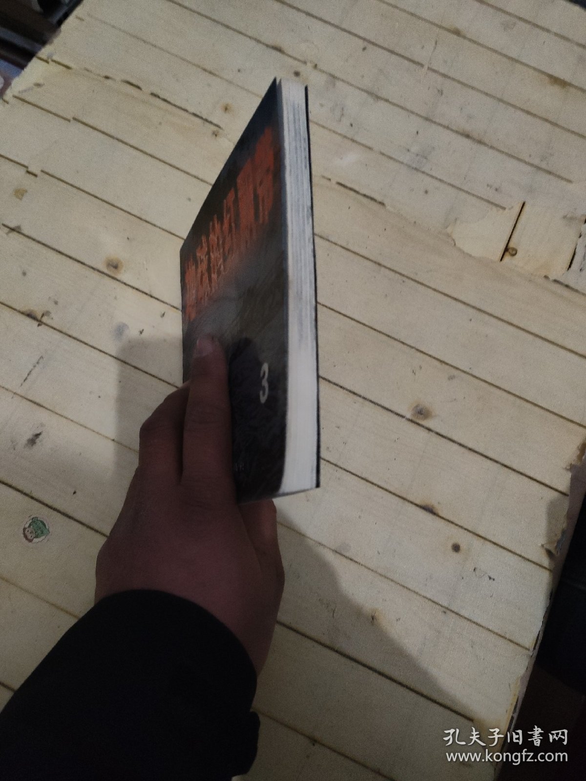 地球的红飘带 3