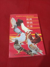 2505S32：**实用养鸽大全