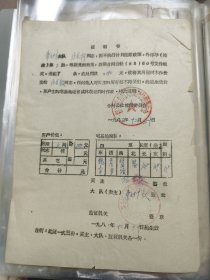 少见的计划生育证明书