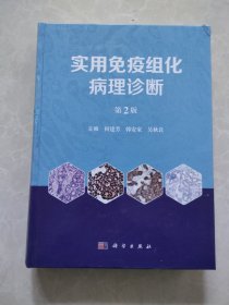 实用免疫组化病理诊断（第2版）