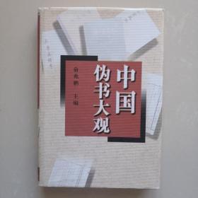 中国伪书大观（精装）