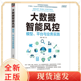 大数据智能风控：模型、平台与业务实践