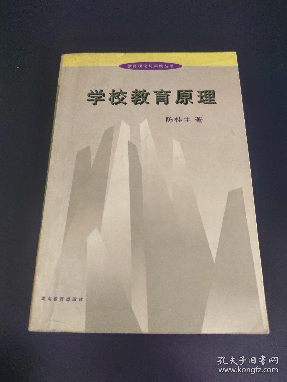 学校教育原理 教育理论与实践丛书