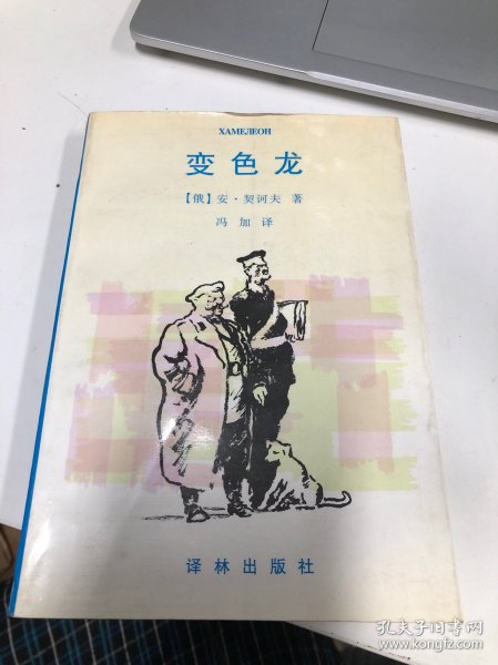 变色龙：契诃夫中短篇小说集