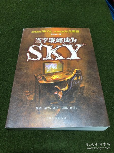 当李晓峰成为SKY