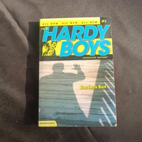 Hardy Boys #3 Boardwalk Bust 哈迪男孩3：珠宝劫案