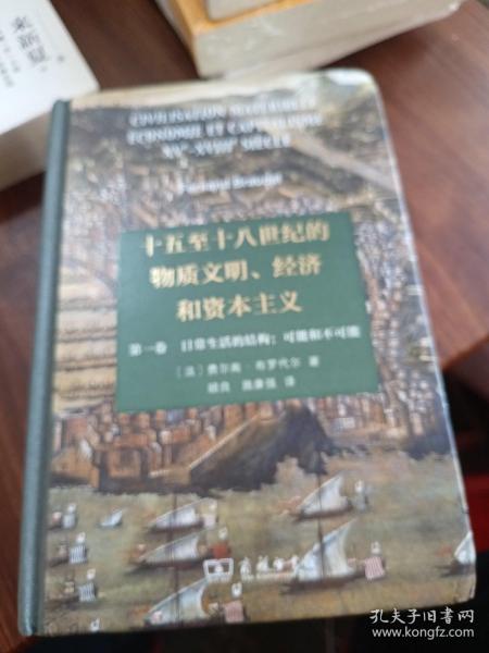 十五至十八世纪的物质文明、经济和资本主义（第一卷 日常生活的结构：可能和不可能）